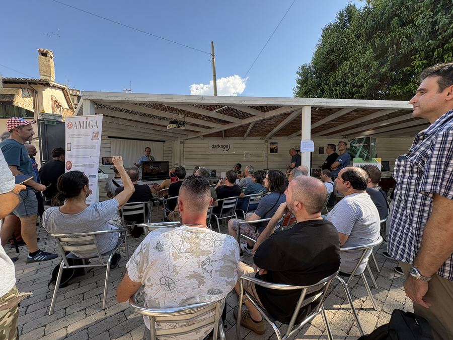 The afternoon audience